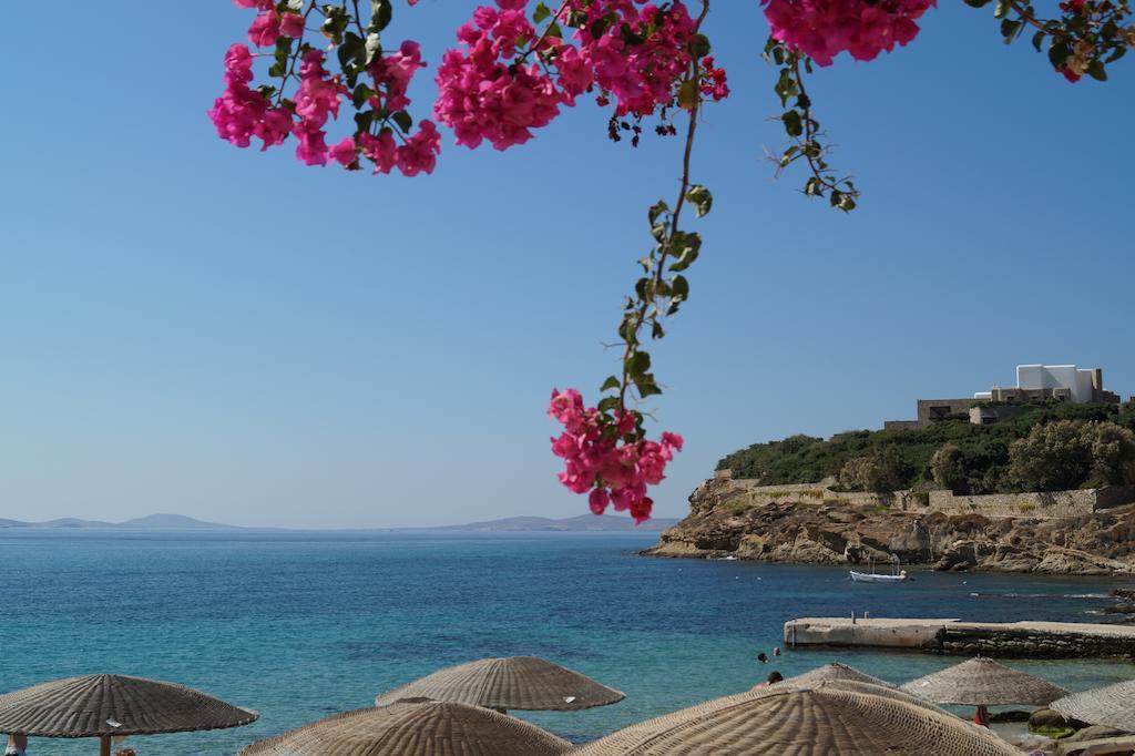 Amazing View Hotel Apartments Agios Stefanos  Exterior foto